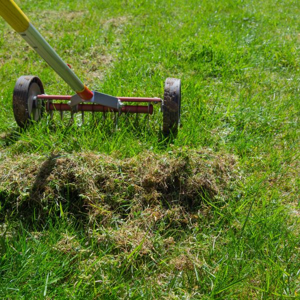 Cornwall Lawn care - scarifcation