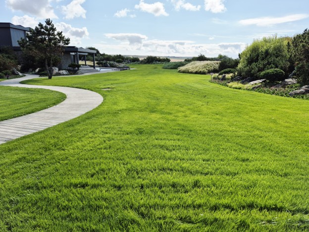 Cornwall Lawncare Daymer Bay Lawn care